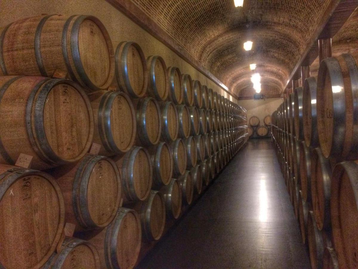 Apartamento Ribera del Duero Reserva Tubilla del Lago Esterno foto